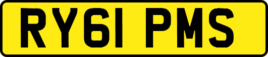 RY61PMS