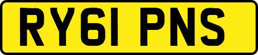 RY61PNS