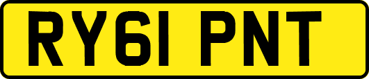RY61PNT