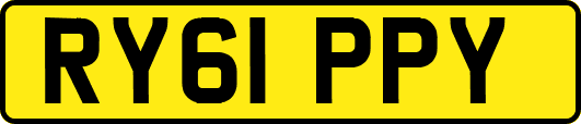 RY61PPY