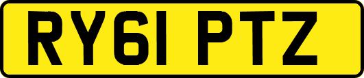 RY61PTZ