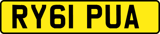 RY61PUA