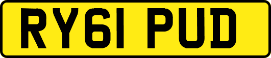 RY61PUD