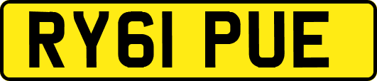 RY61PUE