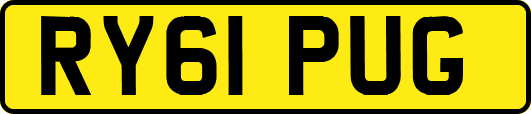 RY61PUG