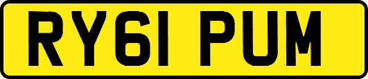 RY61PUM