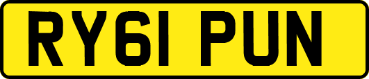 RY61PUN