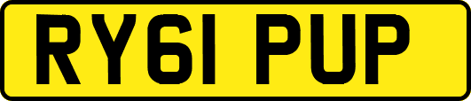 RY61PUP