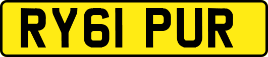 RY61PUR