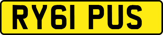 RY61PUS