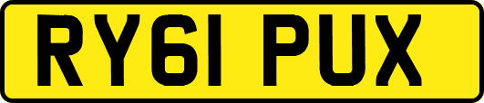 RY61PUX