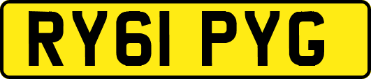 RY61PYG