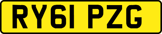 RY61PZG