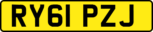 RY61PZJ