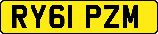 RY61PZM