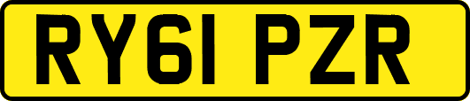 RY61PZR