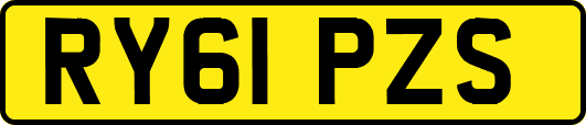 RY61PZS
