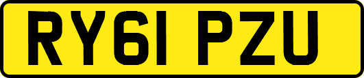 RY61PZU