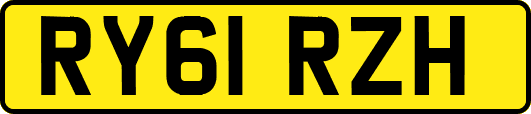 RY61RZH