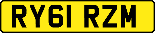 RY61RZM