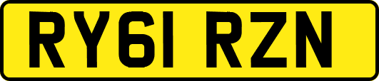 RY61RZN
