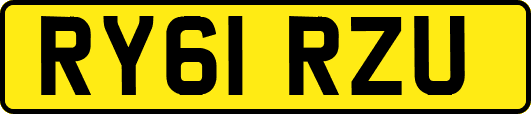 RY61RZU