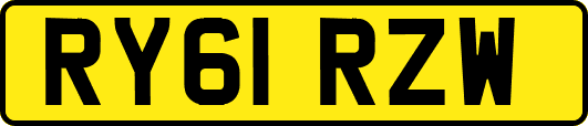 RY61RZW