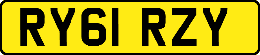 RY61RZY