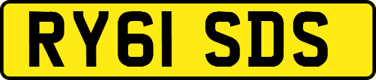 RY61SDS