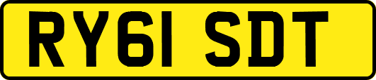 RY61SDT