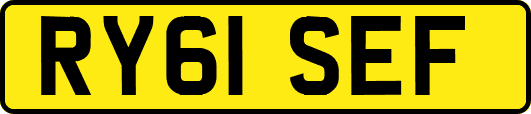 RY61SEF