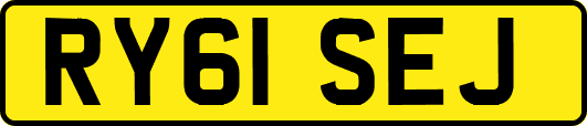 RY61SEJ