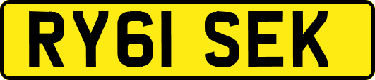 RY61SEK