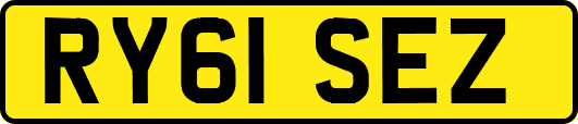 RY61SEZ