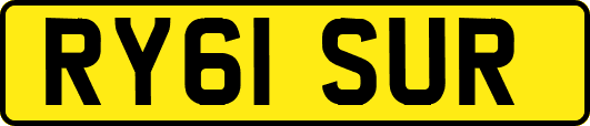 RY61SUR