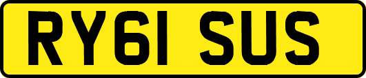 RY61SUS