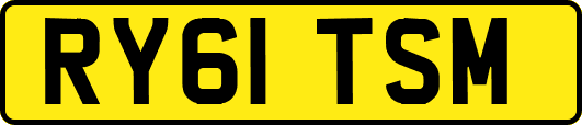 RY61TSM