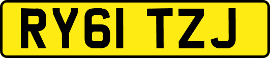 RY61TZJ
