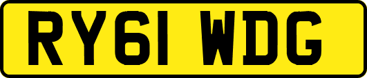 RY61WDG