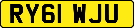 RY61WJU