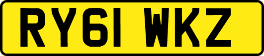 RY61WKZ