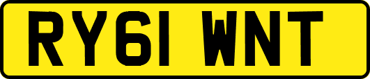 RY61WNT
