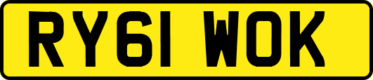 RY61WOK
