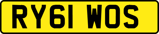 RY61WOS