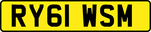 RY61WSM