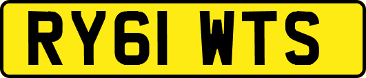 RY61WTS