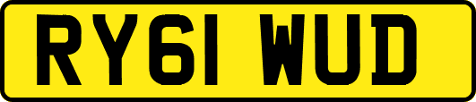 RY61WUD