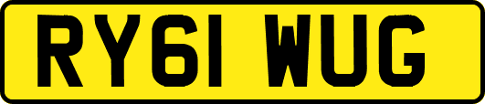 RY61WUG