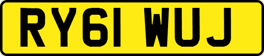 RY61WUJ
