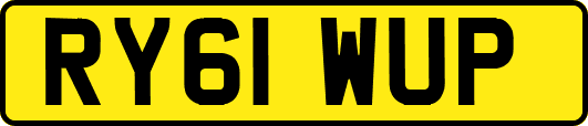 RY61WUP